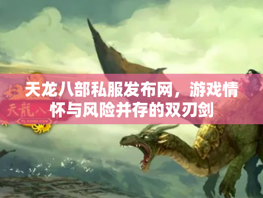 天龙八部私服发布网，游戏情怀与风险并存的双刃剑