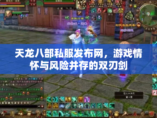 天龙八部私服发布网，游戏情怀与风险并存的双刃剑