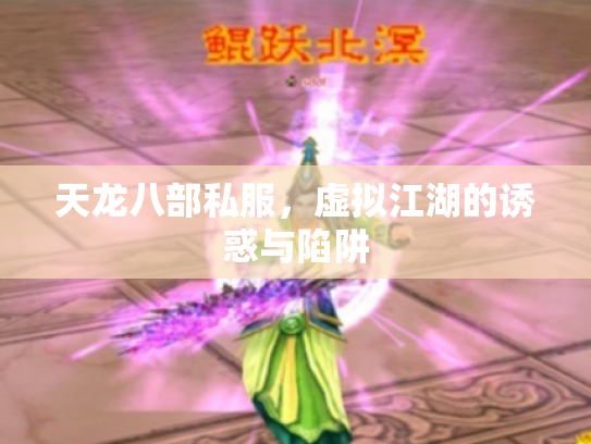 天龙八部私服，虚拟江湖的诱惑与陷阱