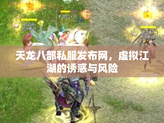 天龙八部私服发布网，虚拟江湖的诱惑与风险