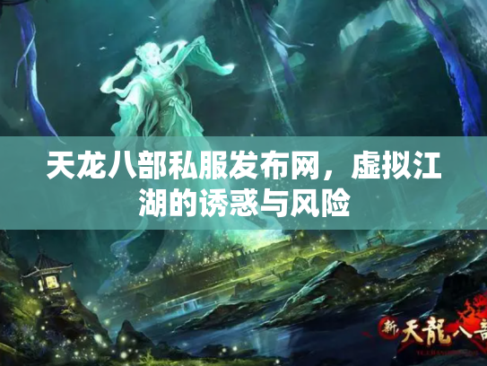 天龙八部私服发布网，虚拟江湖的诱惑与风险