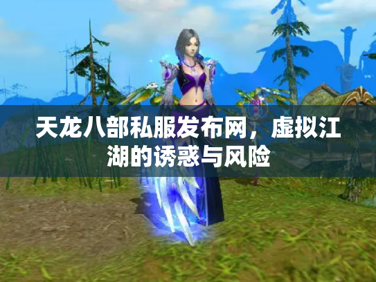 天龙八部私服发布网，虚拟江湖的诱惑与风险