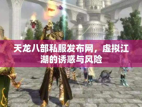 天龙八部私服发布网，虚拟江湖的诱惑与风险