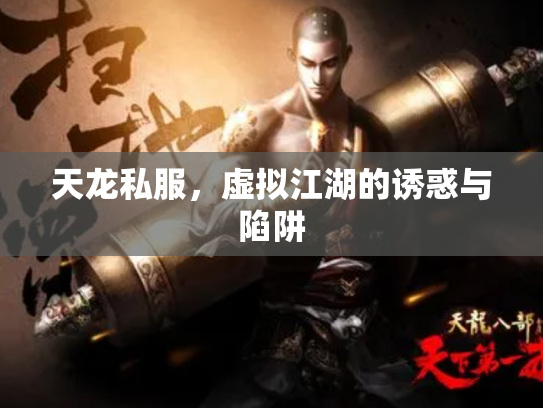 天龙私服，虚拟江湖的诱惑与陷阱