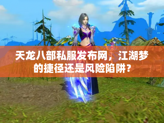 天龙八部私服发布网，江湖梦的捷径还是风险陷阱？