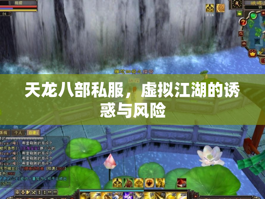 天龙八部私服，虚拟江湖的诱惑与风险
