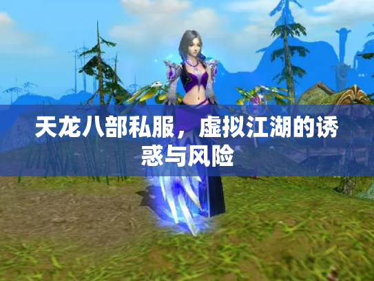天龙八部私服，虚拟江湖的诱惑与风险