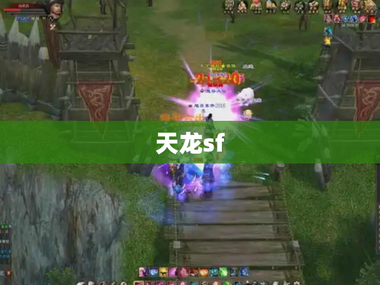天龙sf