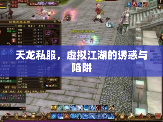 天龙私服，虚拟江湖的诱惑与陷阱