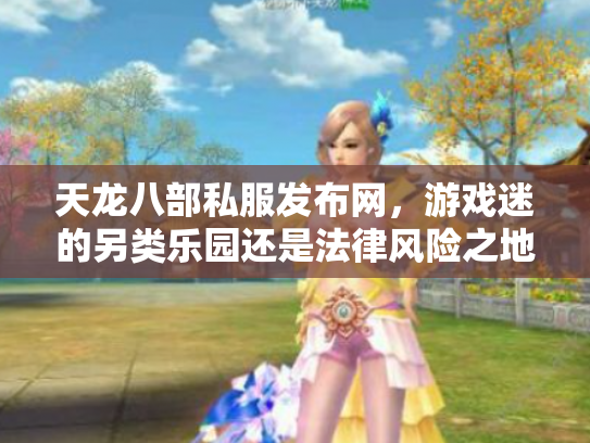 天龙八部私服发布网，游戏迷的另类乐园还是法律风险之地？