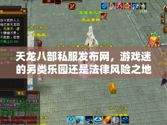 天龙八部私服发布网，游戏迷的另类乐园还是法律风险之地？