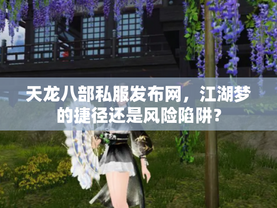 天龙八部私服发布网，江湖梦的捷径还是风险陷阱？