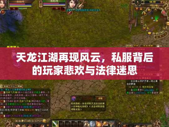 天龙江湖再现风云，私服背后的玩家悲欢与法律迷思