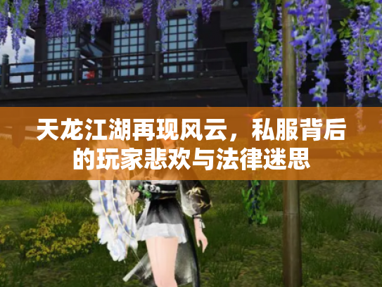 天龙江湖再现风云，私服背后的玩家悲欢与法律迷思