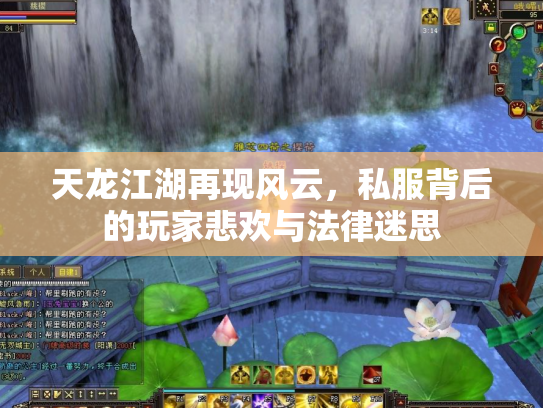 天龙江湖再现风云，私服背后的玩家悲欢与法律迷思