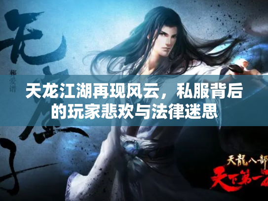 天龙江湖再现风云，私服背后的玩家悲欢与法律迷思