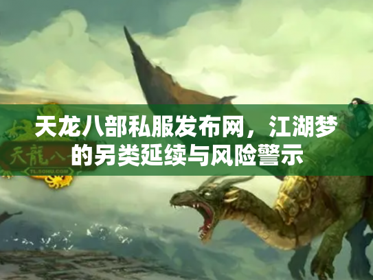 天龙八部私服发布网，江湖梦的另类延续与风险警示