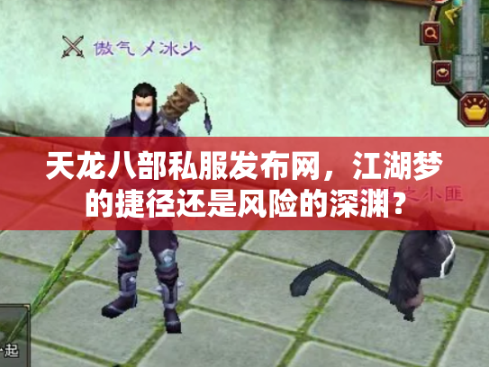 天龙八部私服发布网，江湖梦的捷径还是风险的深渊？