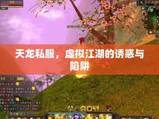 天龙私服，虚拟江湖的诱惑与陷阱