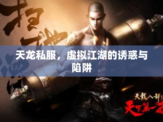 天龙私服，虚拟江湖的诱惑与陷阱
