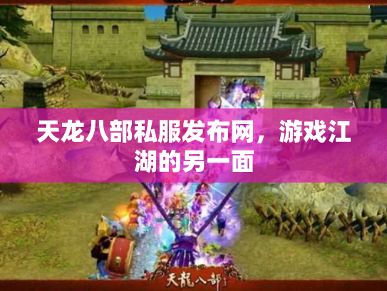 天龙八部私服发布网，游戏江湖的另一面