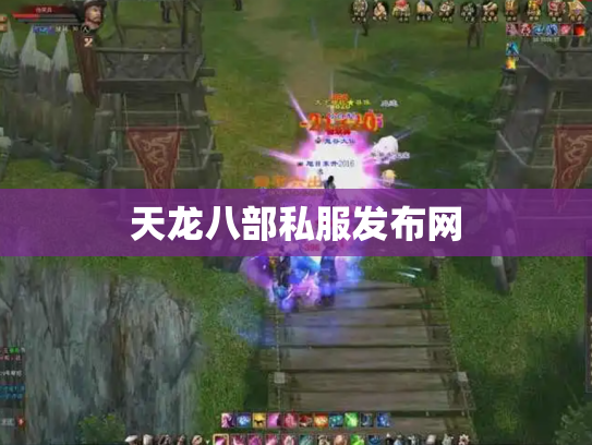 天龙八部私服发布网