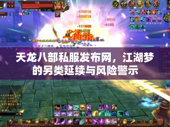 天龙八部私服发布网，江湖梦的另类延续与风险警示