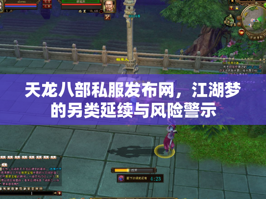 天龙八部私服发布网，江湖梦的另类延续与风险警示