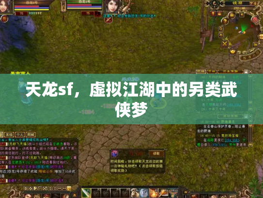 天龙sf，虚拟江湖中的另类武侠梦