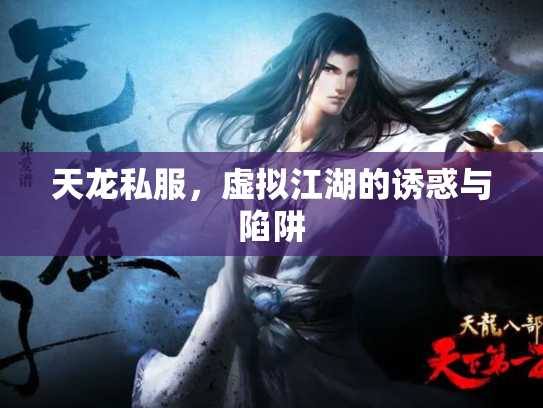 天龙私服，虚拟江湖的诱惑与陷阱