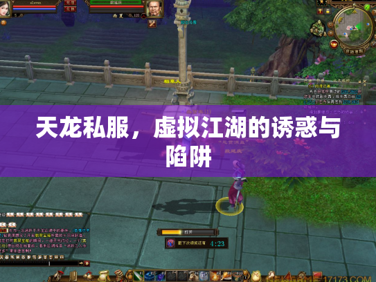 天龙私服，虚拟江湖的诱惑与陷阱