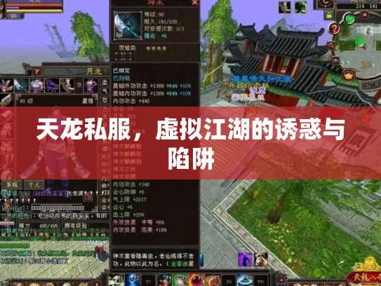 天龙私服，虚拟江湖的诱惑与陷阱