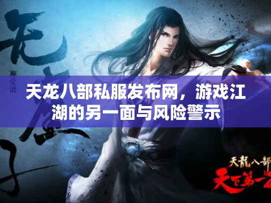 天龙八部私服发布网，游戏江湖的另一面与风险警示