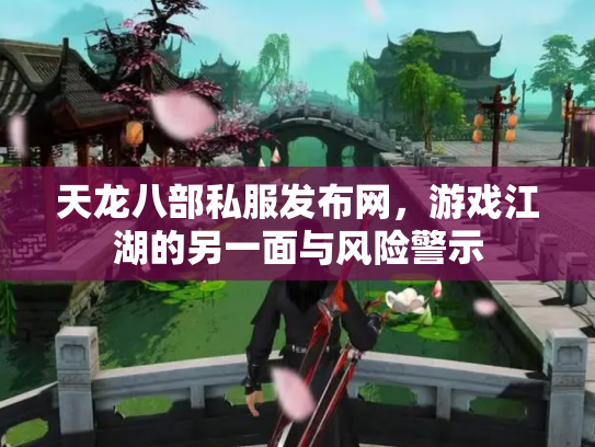 天龙八部私服发布网，游戏江湖的另一面与风险警示