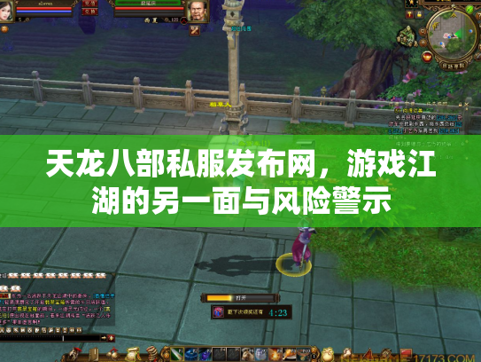 天龙八部私服发布网，游戏江湖的另一面与风险警示