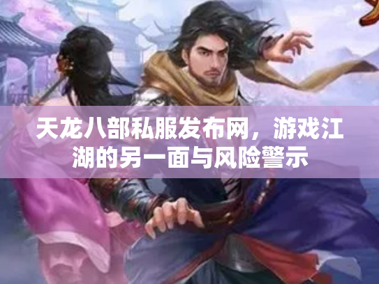 天龙八部私服发布网，游戏江湖的另一面与风险警示