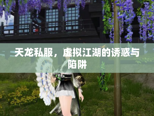 天龙私服，虚拟江湖的诱惑与陷阱