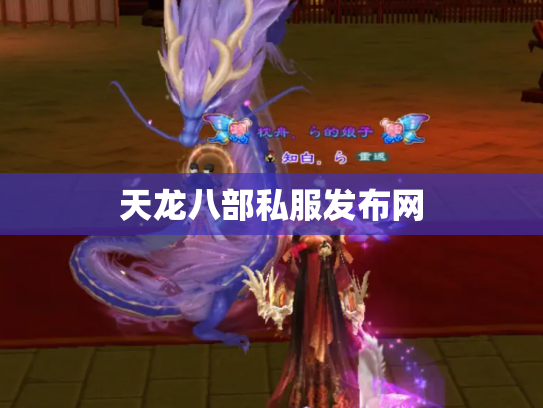 天龙八部私服发布网