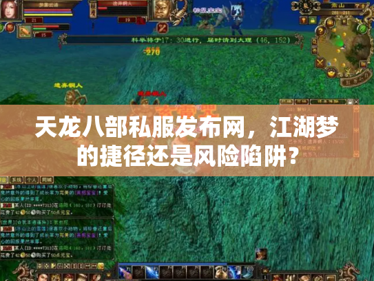 天龙八部私服发布网，江湖梦的捷径还是风险陷阱？
