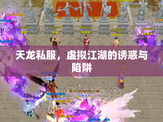 天龙私服，虚拟江湖的诱惑与陷阱