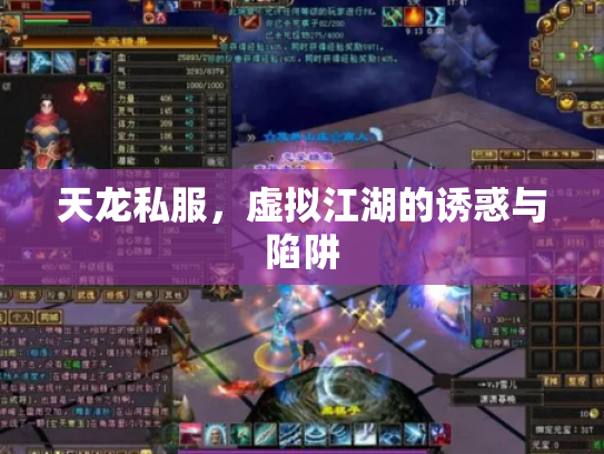 天龙私服，虚拟江湖的诱惑与陷阱