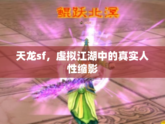 天龙sf，虚拟江湖中的真实人性缩影