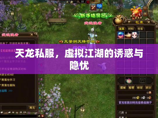 天龙私服，虚拟江湖的诱惑与隐忧