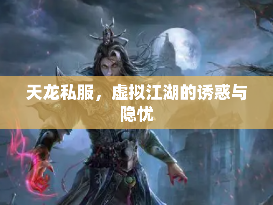 天龙私服，虚拟江湖的诱惑与隐忧