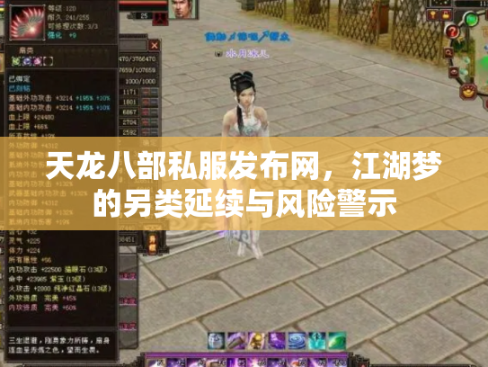 天龙八部私服发布网，江湖梦的另类延续与风险警示