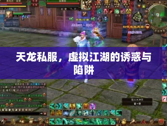 天龙私服，虚拟江湖的诱惑与陷阱