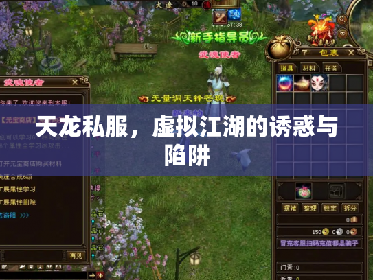 天龙私服，虚拟江湖的诱惑与陷阱