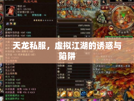 天龙私服，虚拟江湖的诱惑与陷阱