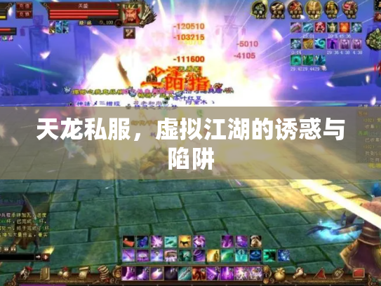 天龙私服，虚拟江湖的诱惑与陷阱