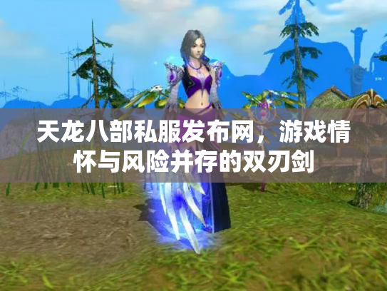 天龙八部私服发布网，游戏情怀与风险并存的双刃剑